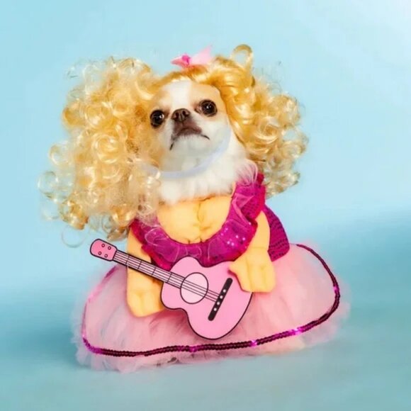 Doggy Parton Sweetheart Costume Set With Rainbow Dog Toy NWT - Picture 1 of 4